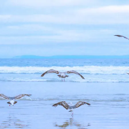 Luttikduin Nr 16 - Aan Zee *