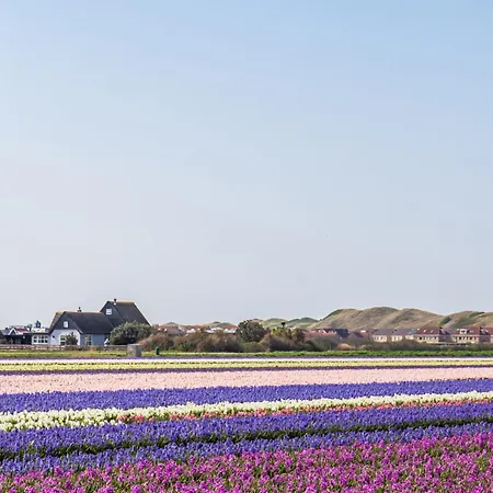 Luttikduin Nr 16 - Aan Zee